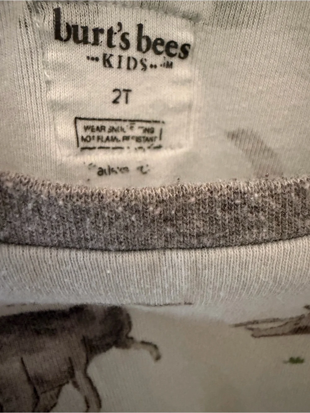 Bundle 3 Sets Fall/Winter 2T Pajamas- Breakfast, Dino, Leaves. Burt's Bees, WN